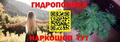 альфа пвп Краснодар